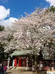 前原御嶽神社の本殿