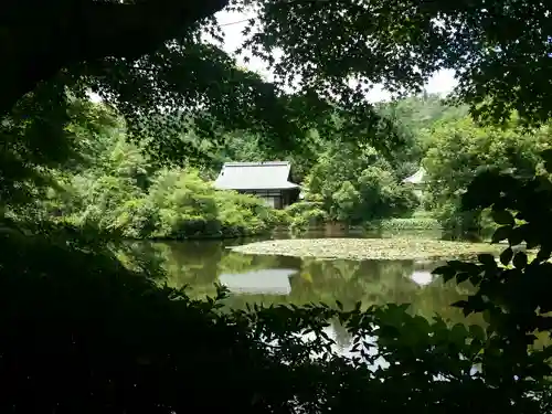 龍安寺の庭園