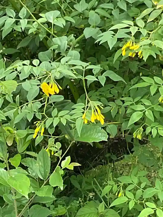 興禅寺(愛知県)