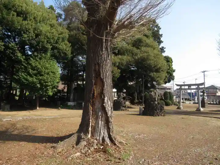 日枝神社(千葉県)