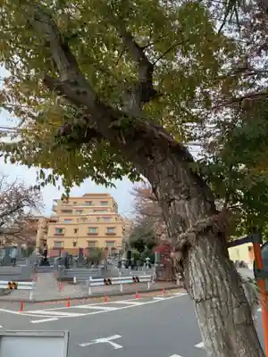 八坂神社(千葉県)