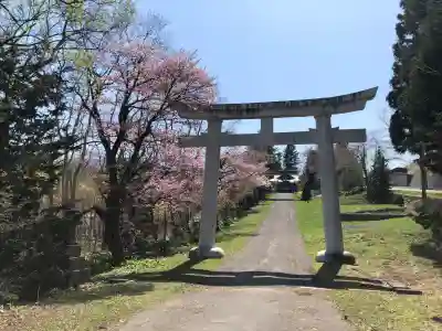 天満宮の{uncategorized: "未分類", other: "その他", undefined: "問題あり", building: "その他建物", grave: "お墓", sacred_gate: "鳥居", guardian: "狛犬", statue: "像", buddha: "仏像", history: "歴史", nature: "自然", garden: "庭園", animal: "動物", pagoda: "塔", temizu: "手水舎", mountain_gate: "山門・神門", sanctuary: "本殿・本堂", subordinate: "末社・摂社", art: "芸術", scenery: "景色", jizo: "地蔵", ema: "絵馬", goshuin: "御朱印", omikuji: "おみくじ", items: "授与品その他", amulet: "お守り", goshuincho: "御朱印帳", eats: "食事", festival: "お祭り", votive_dance: "神楽", shichigosan: "七五三参", wedding: "結婚式", experience: "体験その他", initially: "初詣", around: "周辺", anti_infection: "感染症対策"}