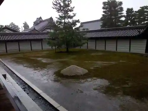 妙心寺（妙心禅寺）の庭園