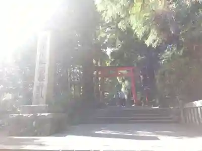 箱根神社(神奈川県)