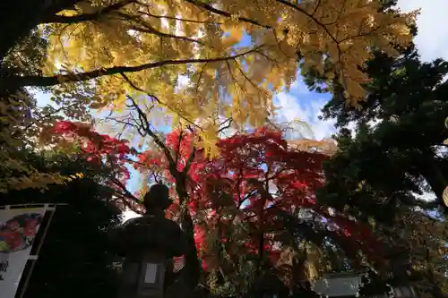 神炊館神社 ⁂奥州須賀川総鎮守⁂の庭園