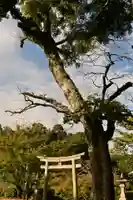 佐比賣山神社(島根県)