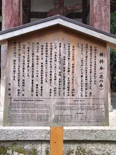 勝持寺（花の寺）(京都府)