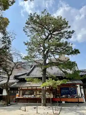 白峯神宮(京都府)