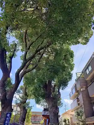 阿倍王子神社(大阪府)