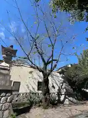 手力雄神社(岐阜県)