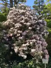 高福寺の自然