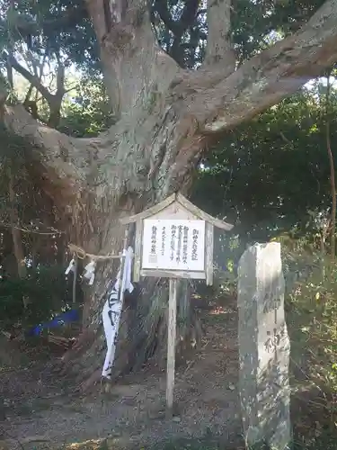 白羽神社の自然
