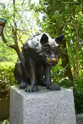 稲毛神社の狛犬