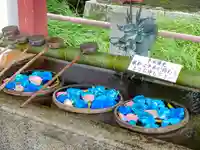 津島神社の手水舎