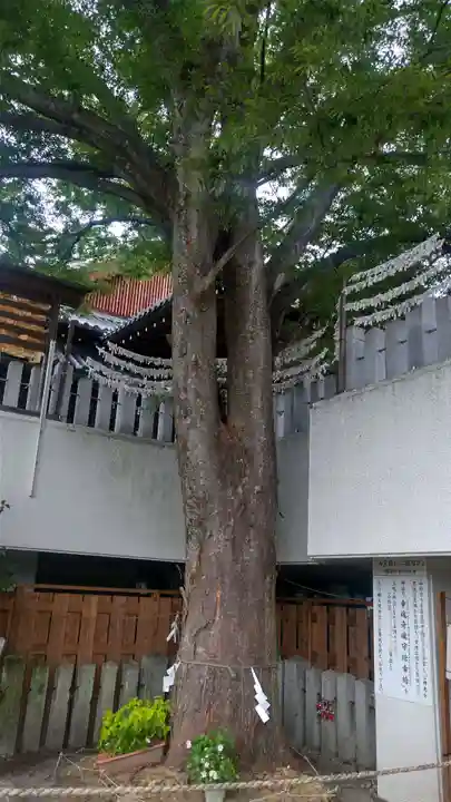 出雲大社美作分院の自然