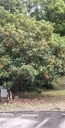 若宮八幡宮(愛知県)