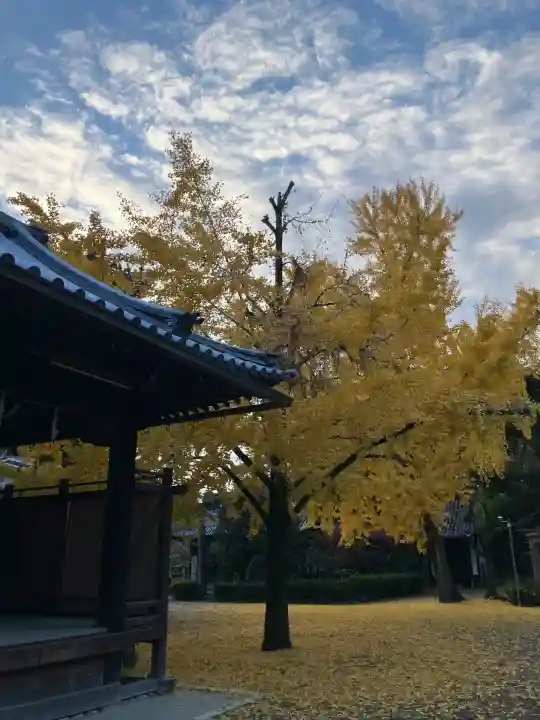 道明寺天満宮(大阪府)