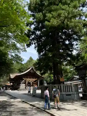 諏訪大社下社秋宮(長野県)