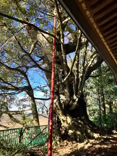 阿蘇神社(東京都)