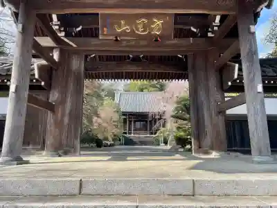 青柳寺(神奈川県)