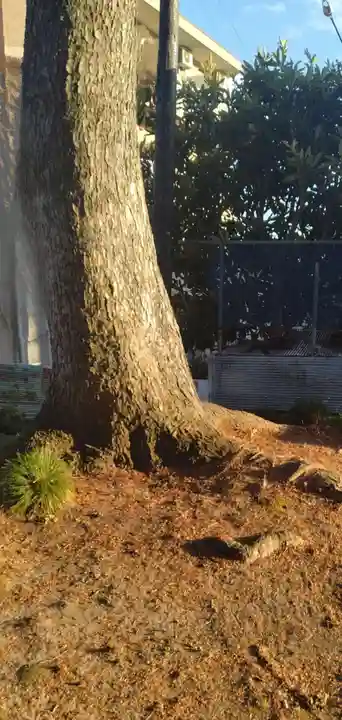 荒巻神明社(宮城県)