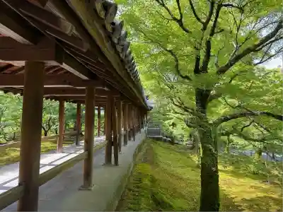 東福禅寺(東福寺)(京都府)