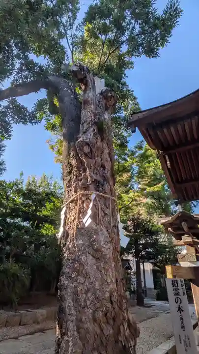大将軍八神社(京都府)