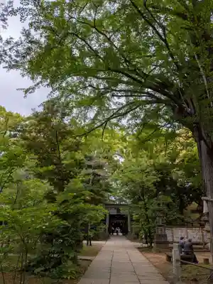 赤坂氷川神社(東京都)