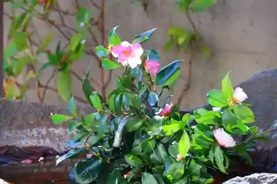 愛宕神社の手水舎