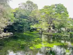 富士山本宮浅間大社(静岡県)