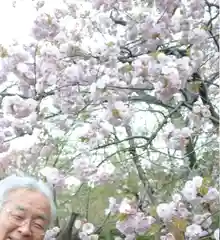 彌彦神社(新潟県)