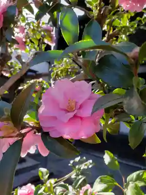 海雲寺(東京都)