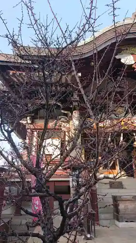 諏訪神社の自然