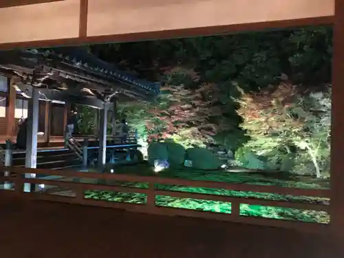 隨心院（随心院）の庭園