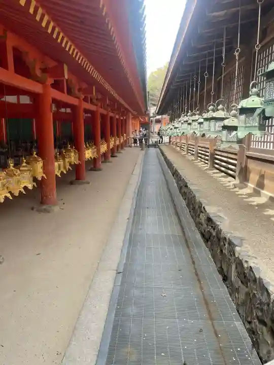 春日大社(奈良県)