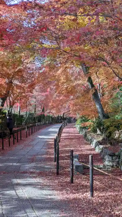 光明寺(粟生光明寺)(京都府)