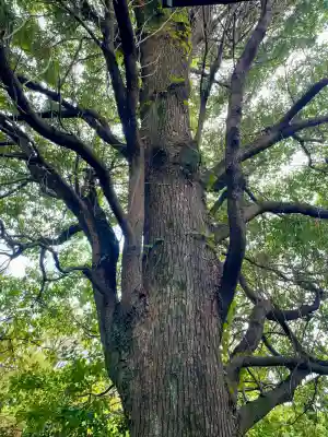大聖院(神奈川県)