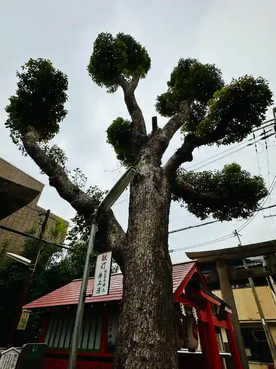 安倍晴明神社(阿倍王子神社境外末社)(大阪府)