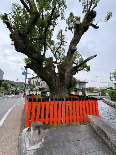 藤木社（賀茂別雷神社末社）の{uncategorized: "未分類", other: "その他", undefined: "問題あり", building: "その他建物", grave: "お墓", sacred_gate: "鳥居", guardian: "狛犬", statue: "像", buddha: "仏像", history: "歴史", nature: "自然", garden: "庭園", animal: "動物", pagoda: "塔", temizu: "手水舎", mountain_gate: "山門・神門", sanctuary: "本殿・本堂", subordinate: "末社・摂社", art: "芸術", scenery: "景色", jizo: "地蔵", ema: "絵馬", goshuin: "御朱印", omikuji: "おみくじ", items: "授与品その他", amulet: "お守り", goshuincho: "御朱印帳", eats: "食事", festival: "お祭り", votive_dance: "神楽", shichigosan: "七五三参", wedding: "結婚式", experience: "体験その他", initially: "初詣", around: "周辺", anti_infection: "感染症対策"}