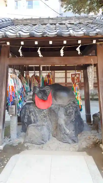 牛嶋神社の狛犬
