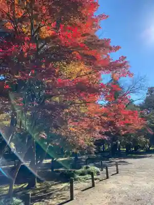 平林寺(埼玉県)