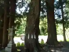 関口神社の庭園