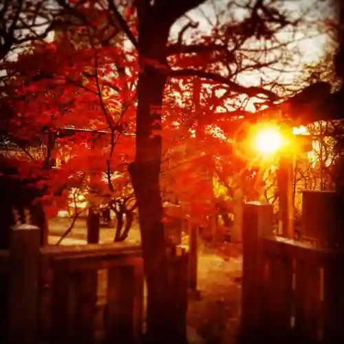 牛天神北野神社の景色