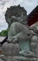 足羽神社の狛犬