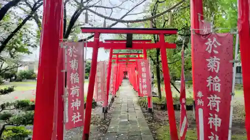 於菊稲荷神社(群馬県)