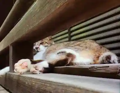 荻窪白山神社(東京都)