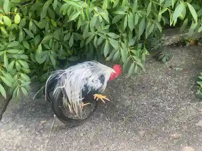 観音寺(京都府)