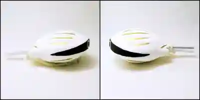 廣田神社～病厄除守護神～(青森県)