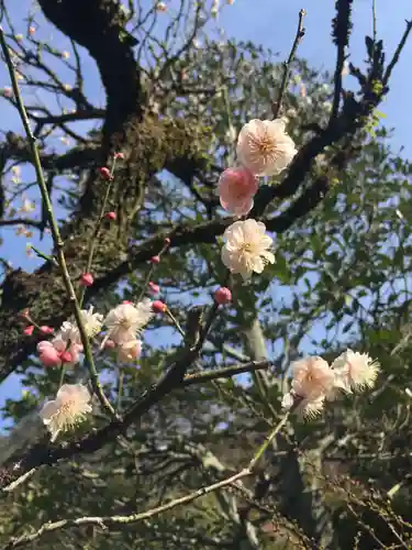 三室戸寺の自然