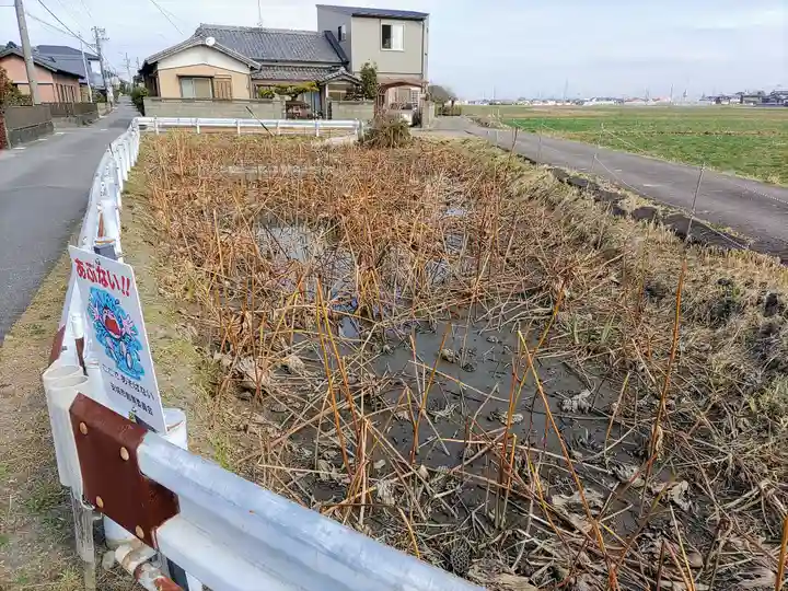 雲龍山 本證寺の周辺